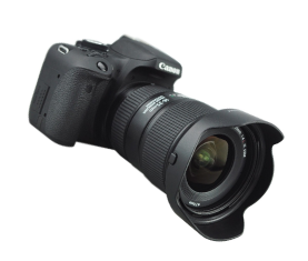 photos